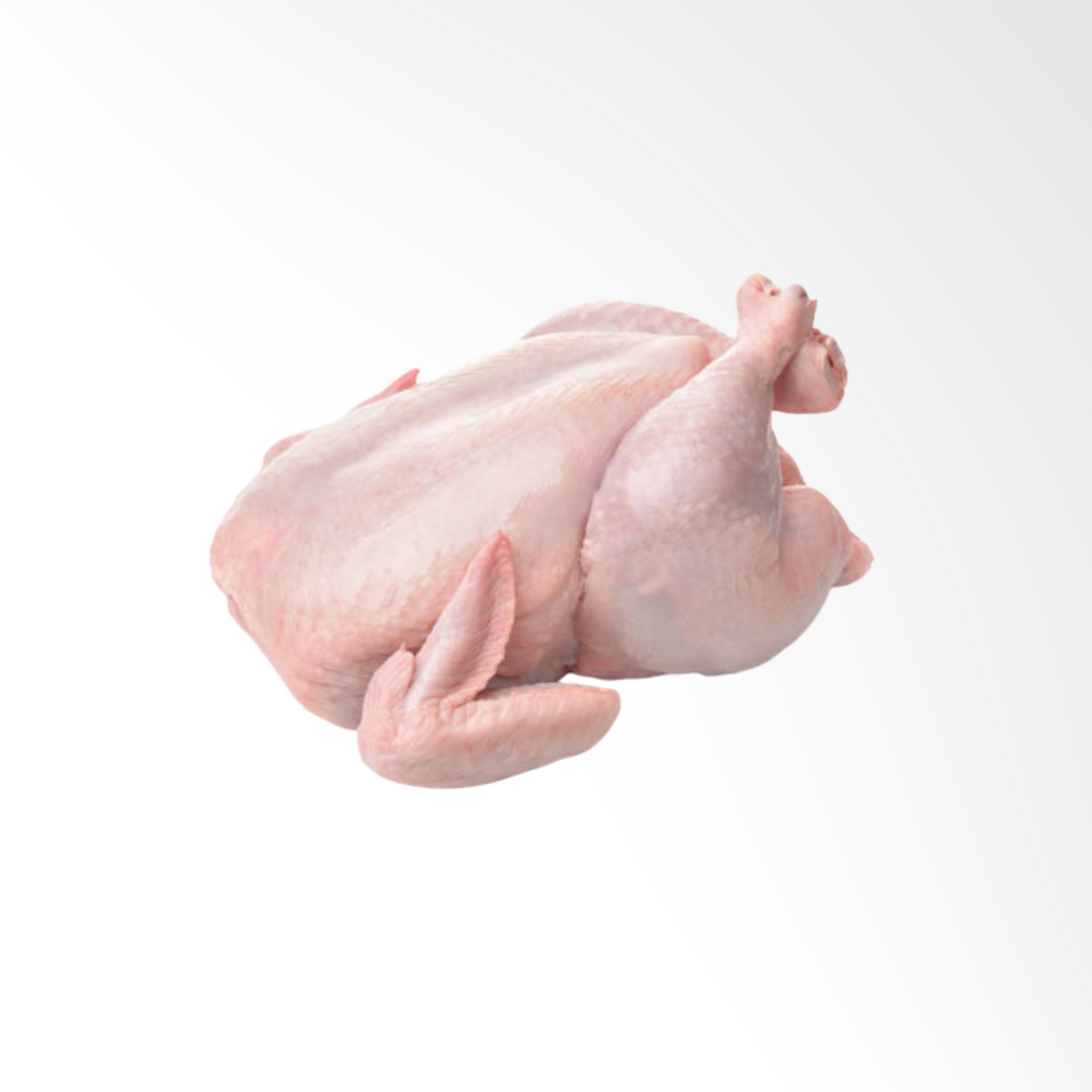 POLLO