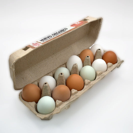 Estuche 12 Huevos Orgánicos de Libre Pastoreo